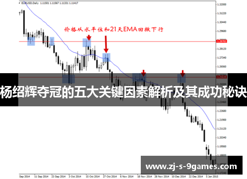 杨绍辉夺冠的五大关键因素解析及其成功秘诀 杨绍辉夺冠的五大关键因素解析及其成功秘诀