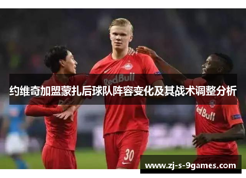 约维奇加盟蒙扎后球队阵容变化及其战术调整分析